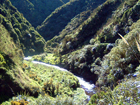 Korokoro Valley Stream